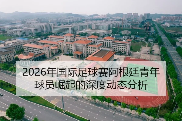 2026年国际足球赛阿根廷青年球员崛起的深度动态分析